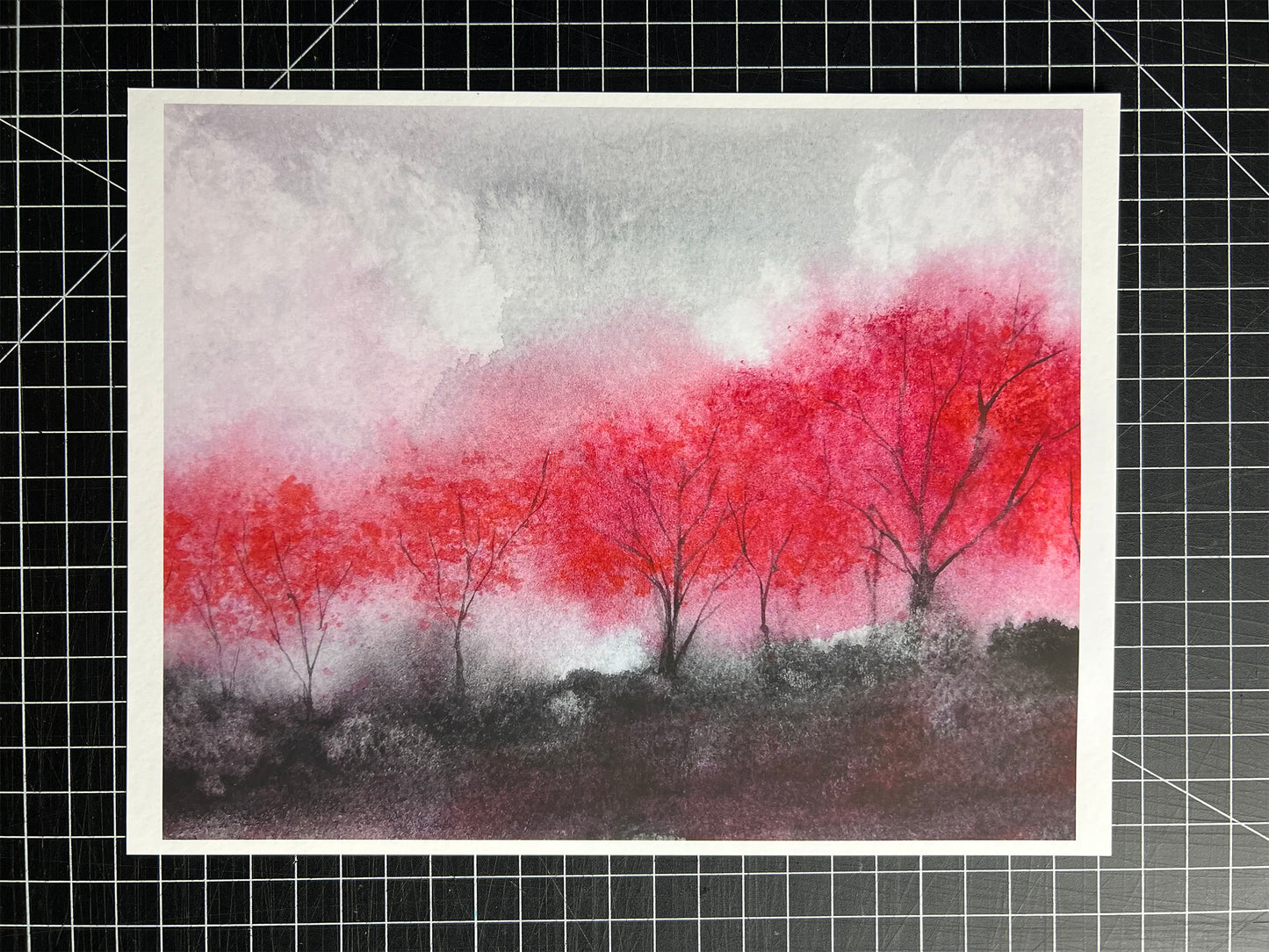 Standard Matte Prints