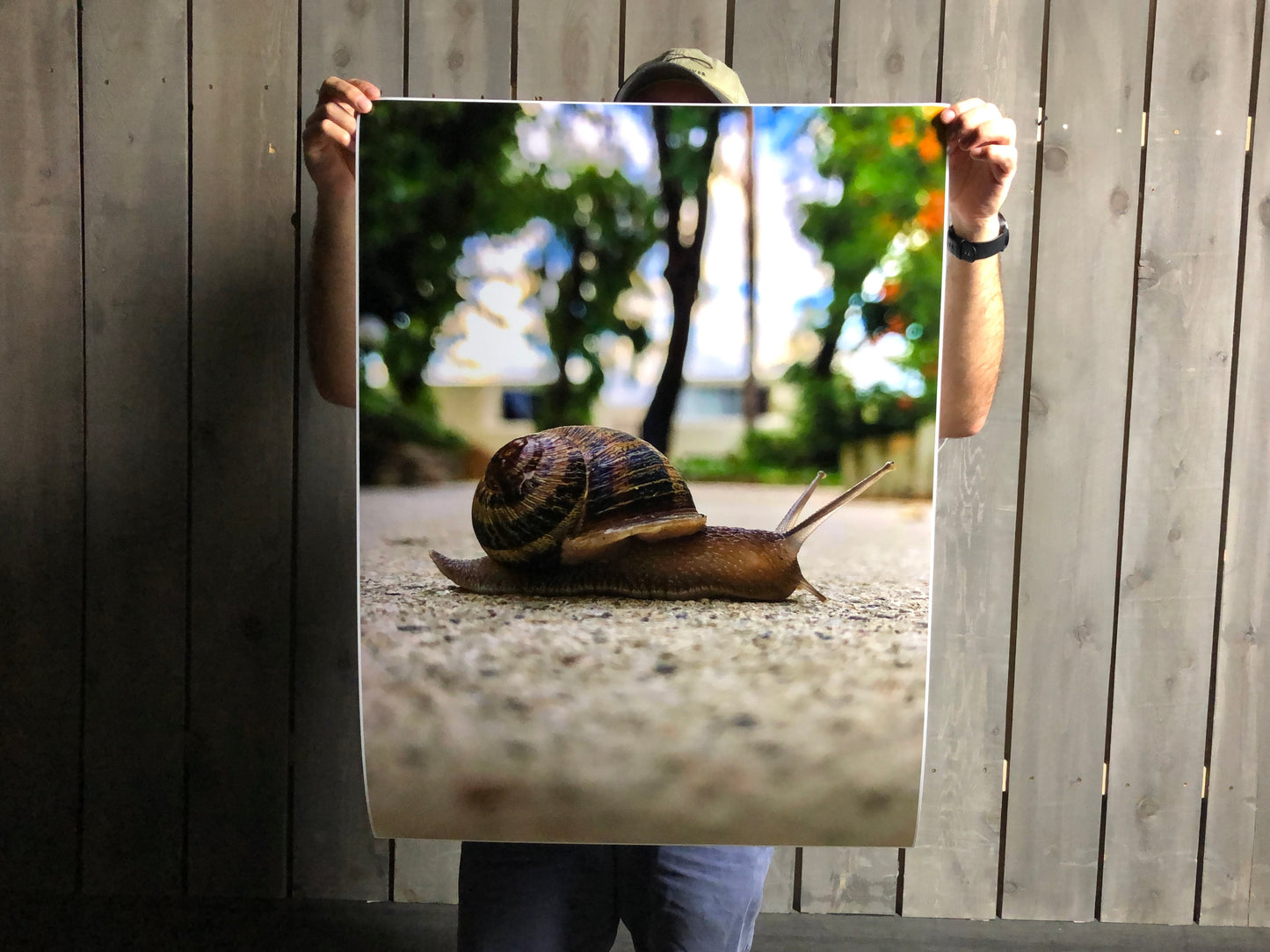 Satin Photo Prints